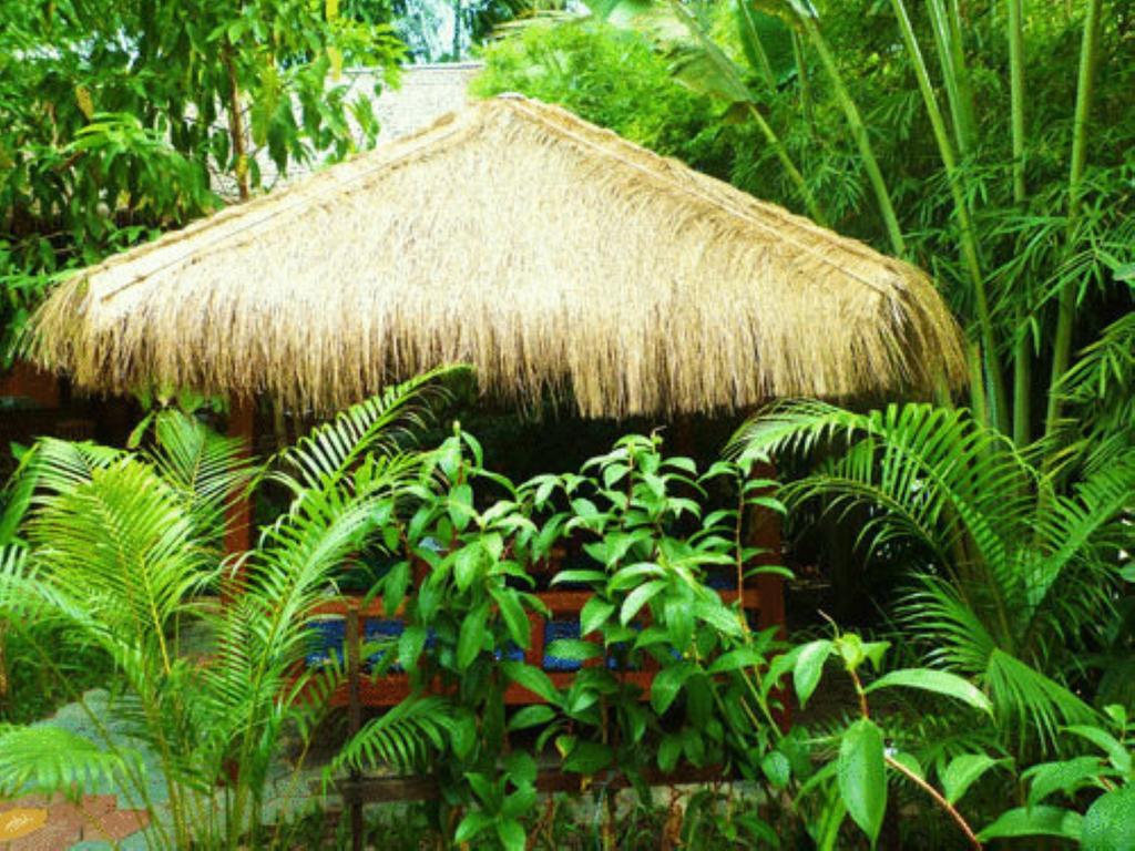 Forest King Hotel Siem Reap Ngoại thất bức ảnh