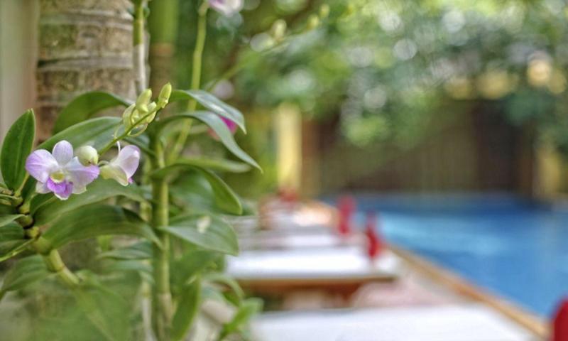 Forest King Hotel Siem Reap Ngoại thất bức ảnh